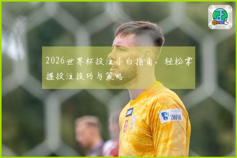 2026世界杯投注小白指南，轻松掌握投注技巧与策略