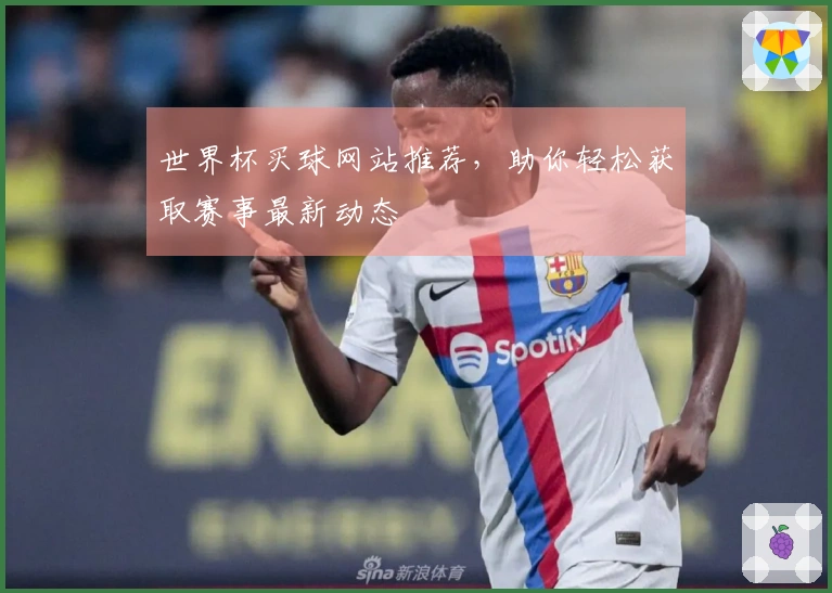 世界杯买球网站推荐，助你轻松获取赛事最新动态