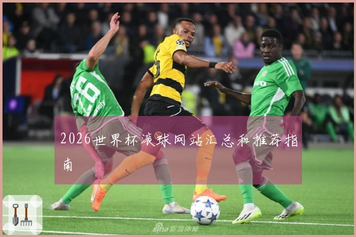 2026世界杯滚球网站汇总和推荐指南