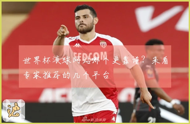 世界杯滚球网站哪个更靠谱？来看专家推荐的几个平台