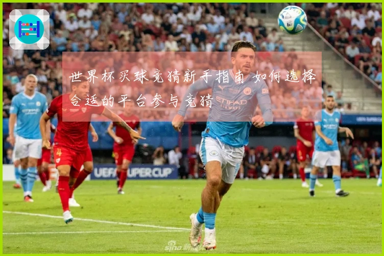 世界杯买球竞猜新手指南 如何选择合适的平台参与竞猜